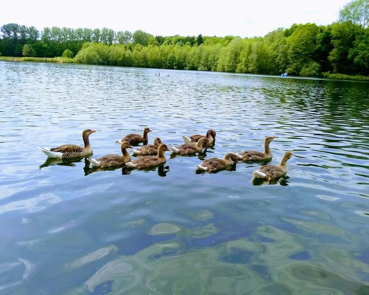 Cafe-Restaurant am Rubbenbruchsee